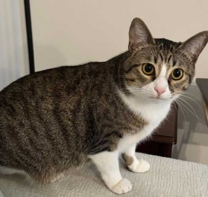 Photo of Diamond