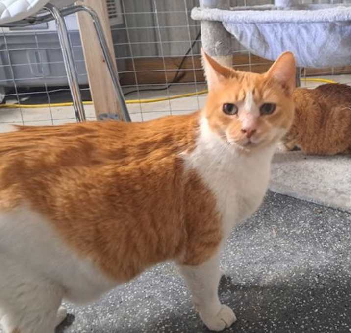 Photo of Max