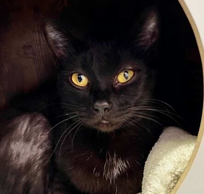 Photo of Sabrina