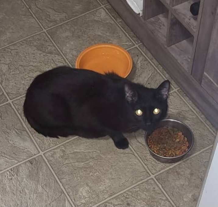 Photo of Midnight