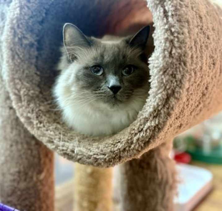 Photo of Lily