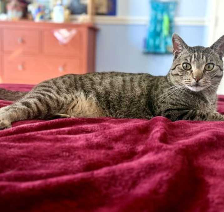 Photo of Nelson