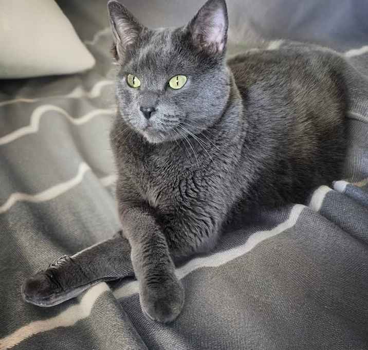 Photo of Chihiru