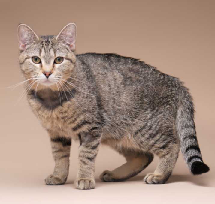 Photo of Litzy