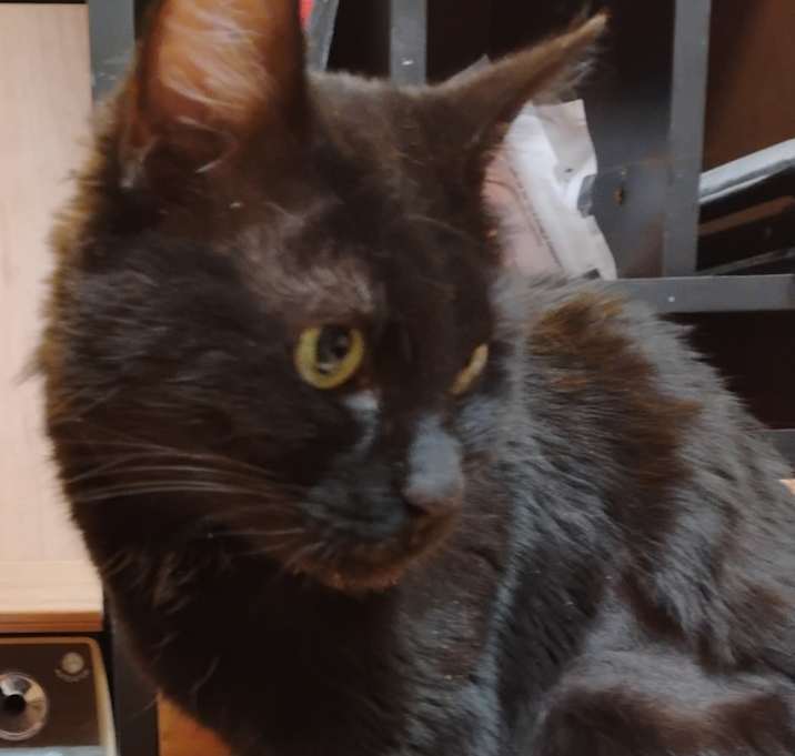 Photo of Maggie