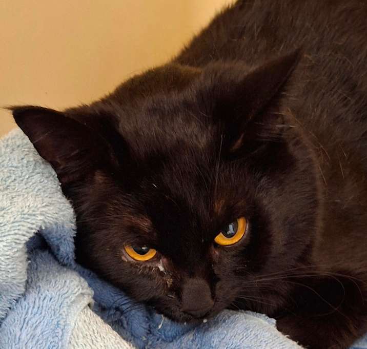 Photo of Binks