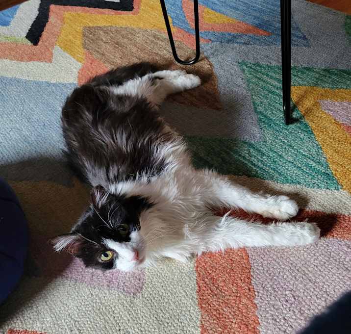 Photo of Maybelle