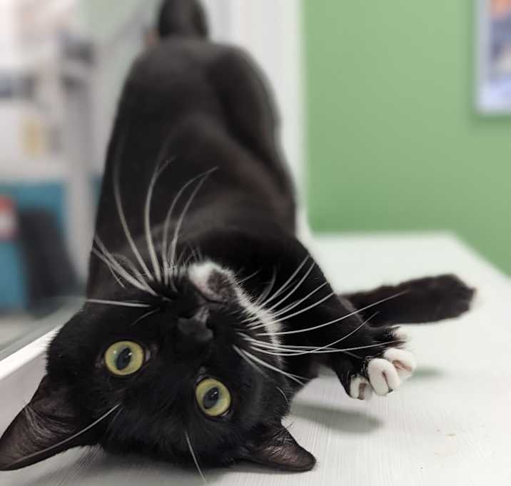 Photo of Gem