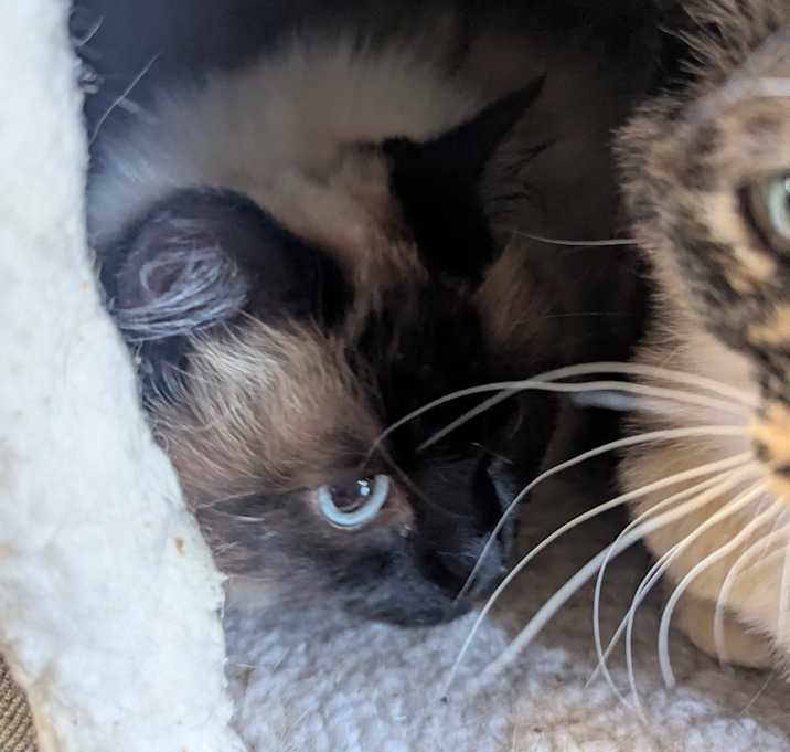 Photo of Sushi