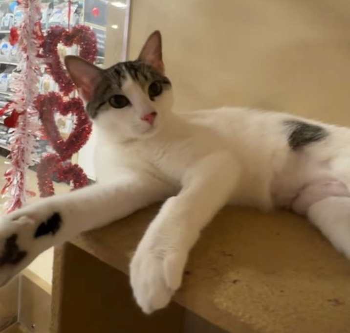 Photo of Dottie
