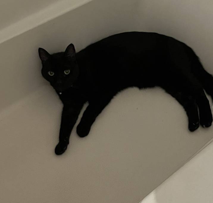 Photo of Hudson