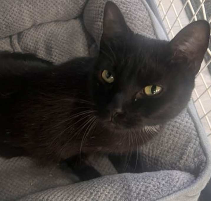 Photo of Sparkle