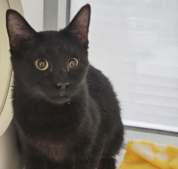 Photo of Fiona