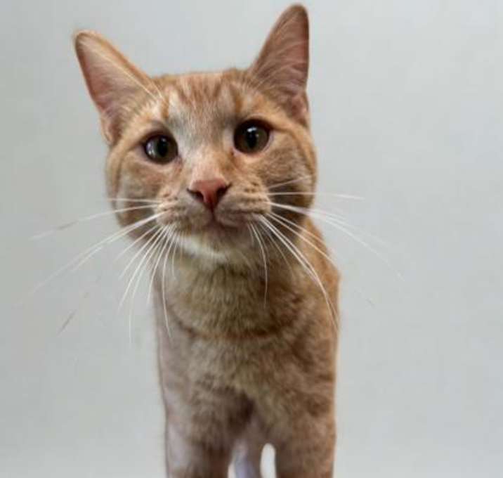 Photo of Abu