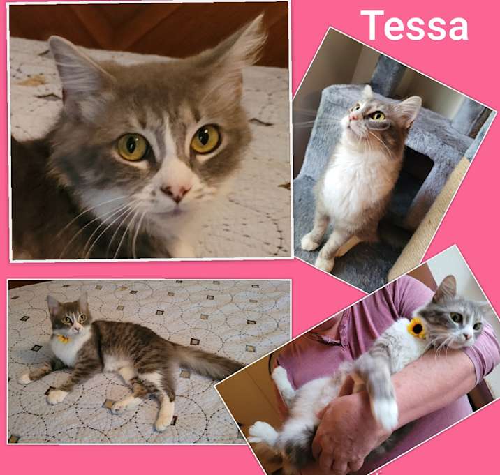 Photo of Tessa