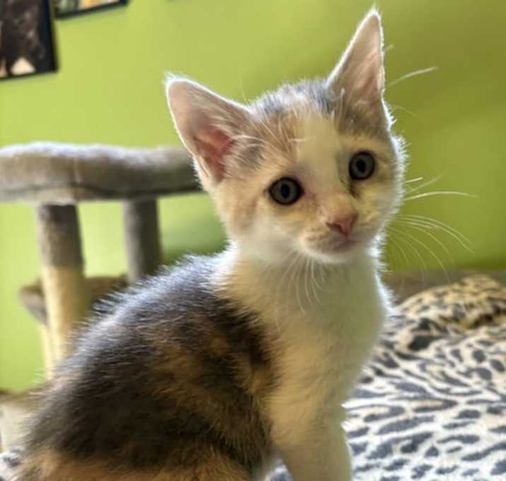 Photo of Vera