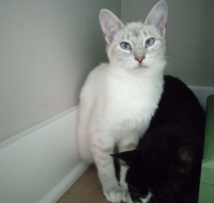 Photo of Maggie