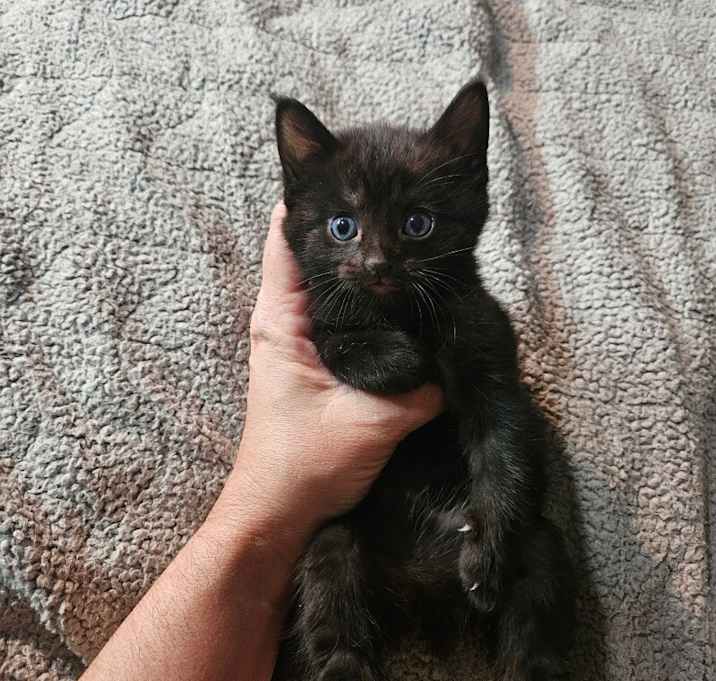 Photo of Rainy Grey