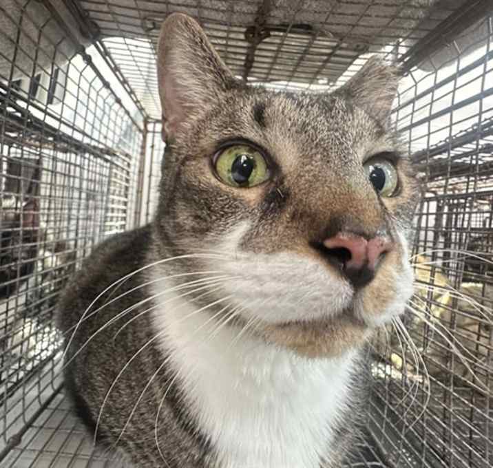 Photo of BOBO