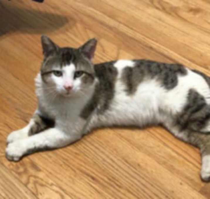 Photo of Alvin