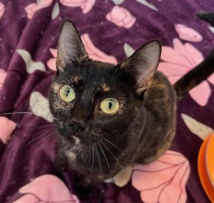 Photo of Coraline