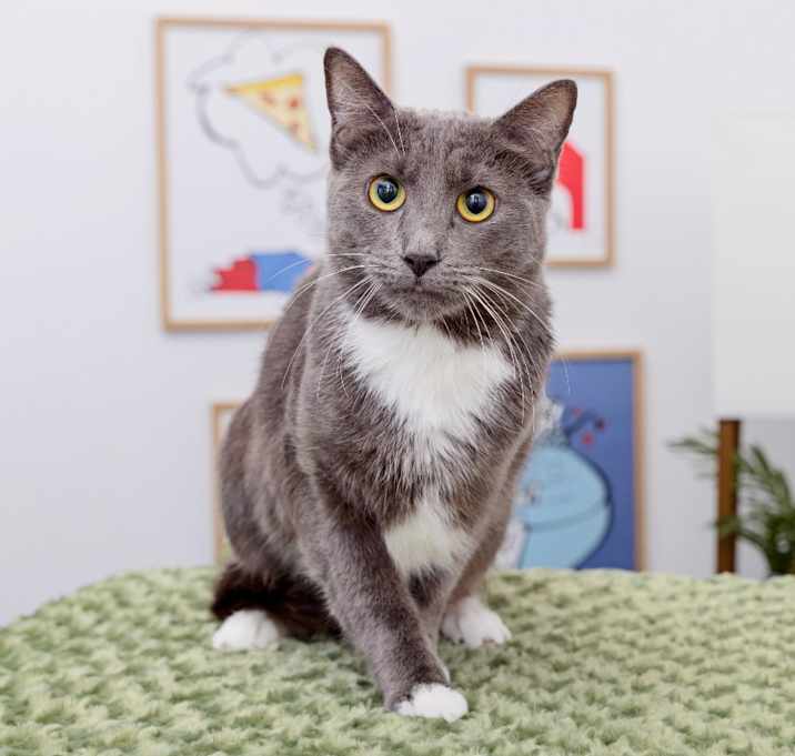 Photo of Selby