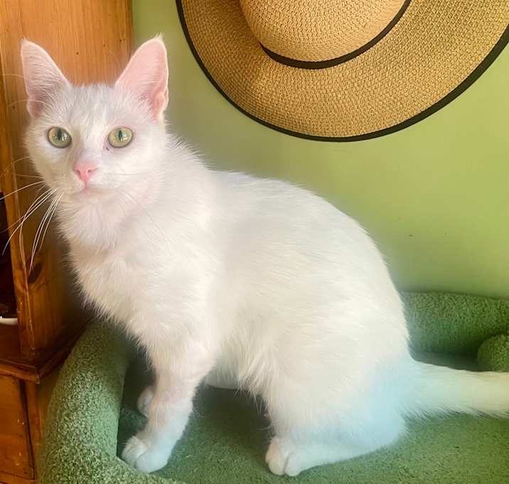 Photo of Berry White