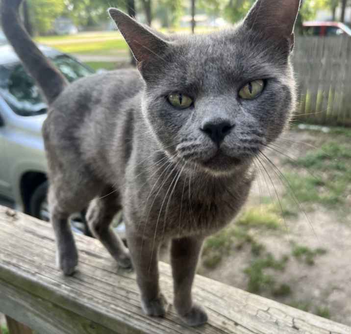 Photo of Buddy