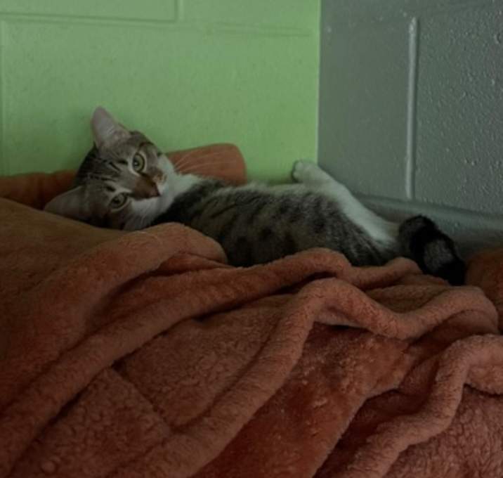 Photo of Rosey
