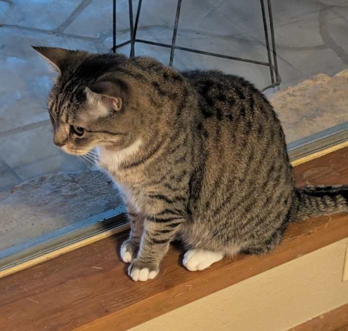 Photo of Squirt