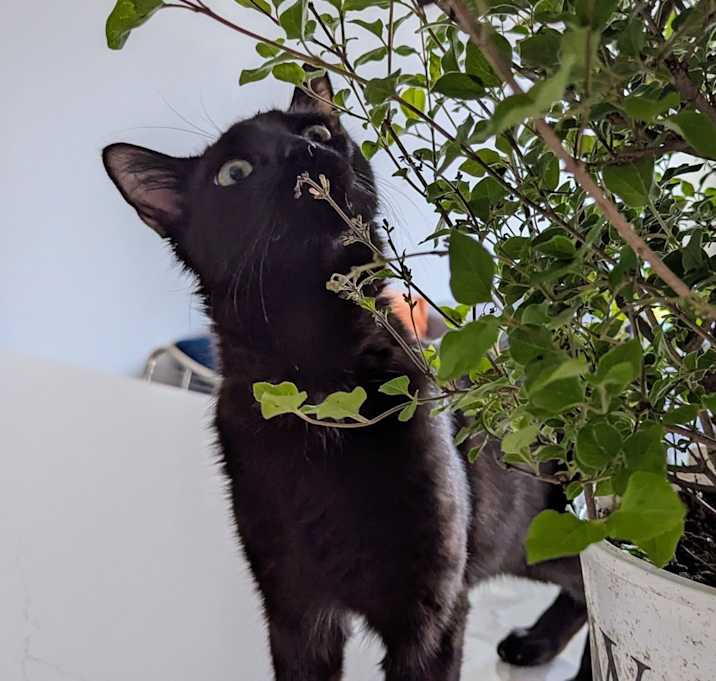 Photo of Keith