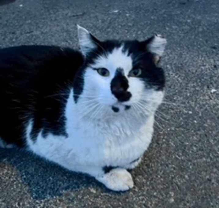 Photo of Thomas