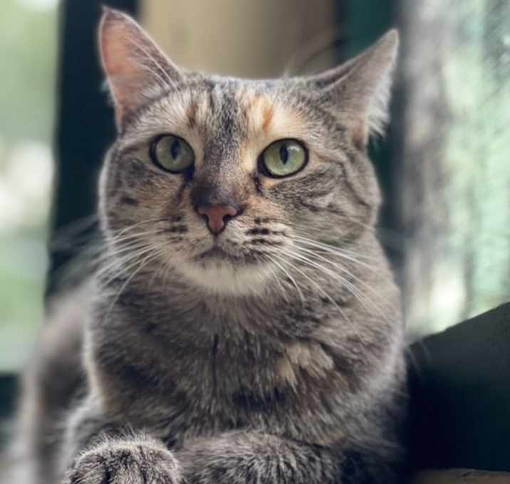 Photo of Sophie
