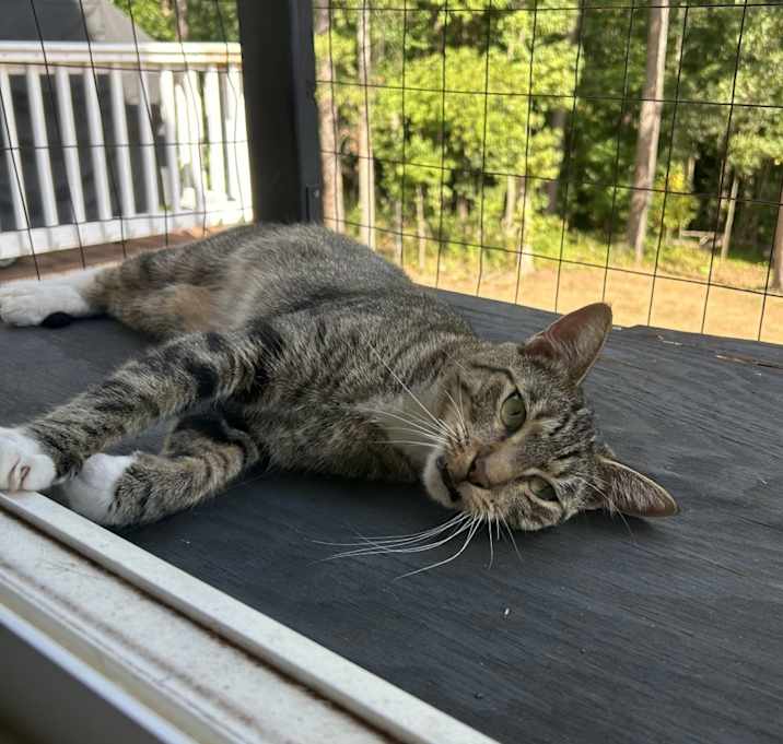 Photo of Mia