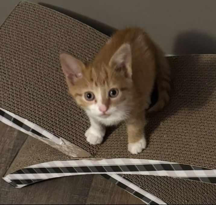 Photo of Tasha