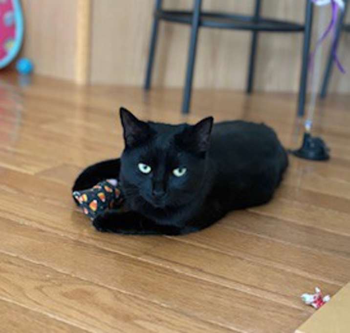 Photo of Paula