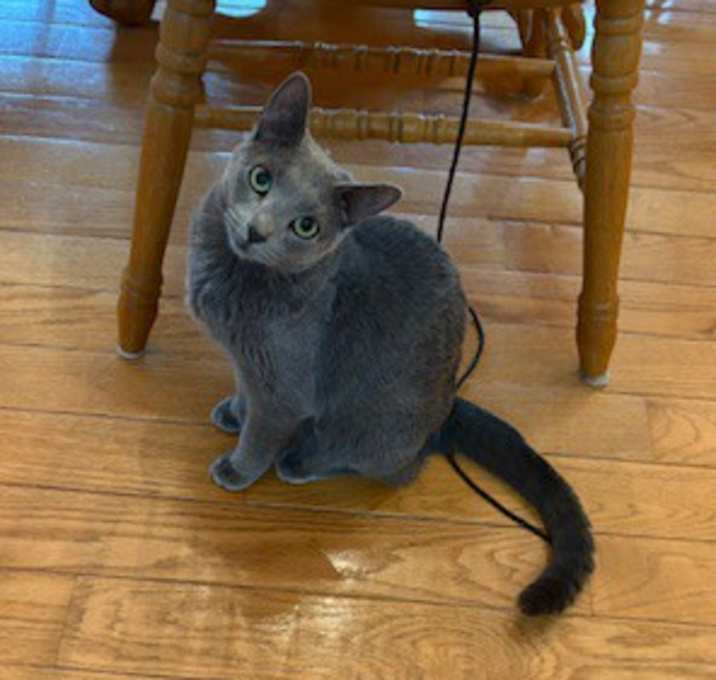 Photo of Patty