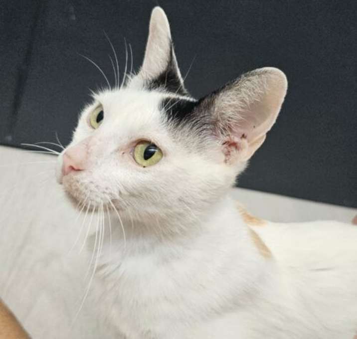 Photo of Molly