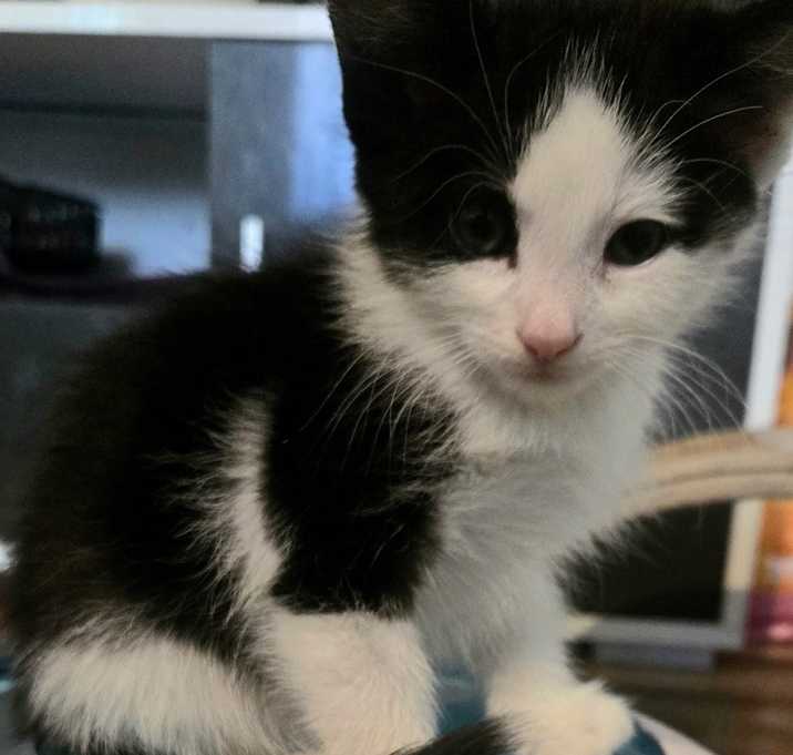 Photo of Mulan