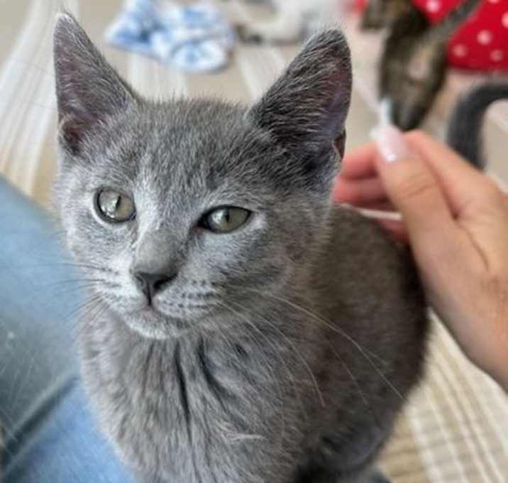 Photo of Vivienne