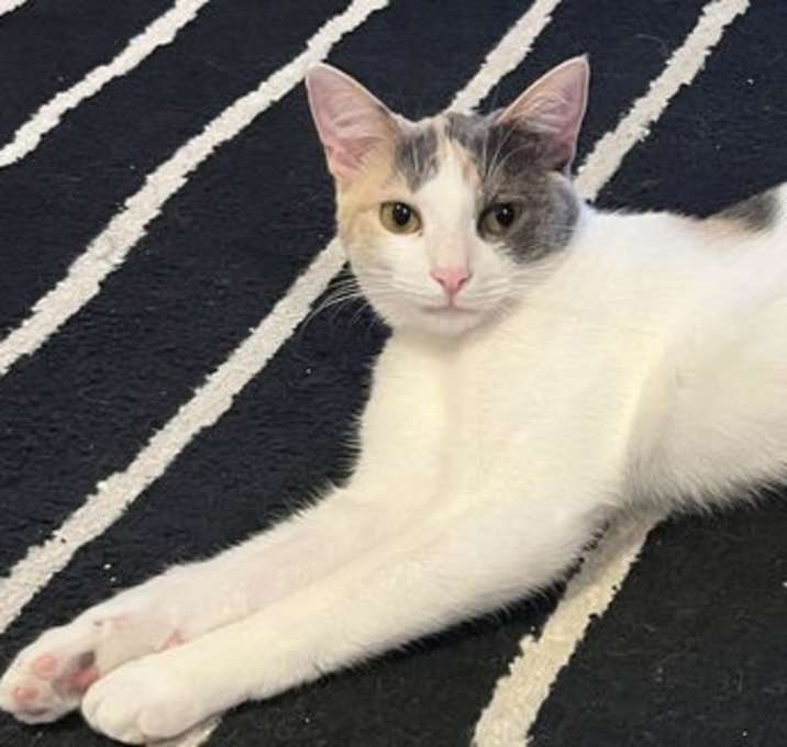 Photo of Rosita