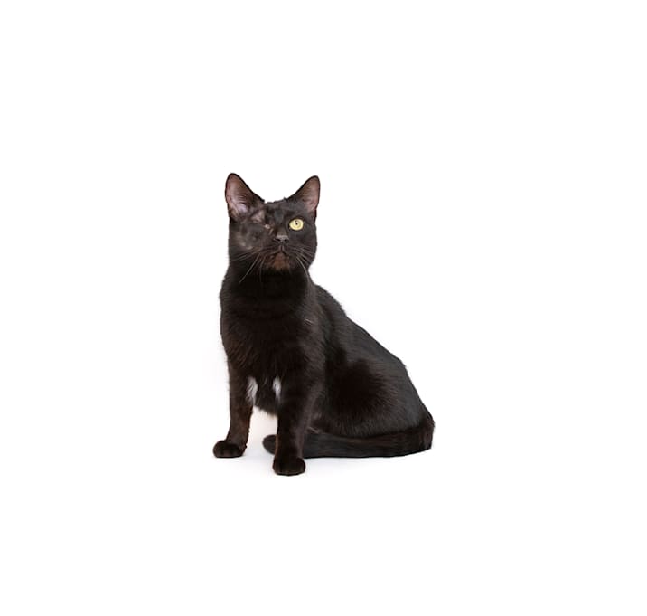 Photo of Rosie