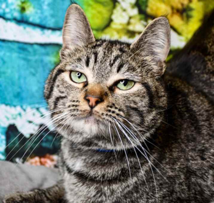 Photo of Hunter
