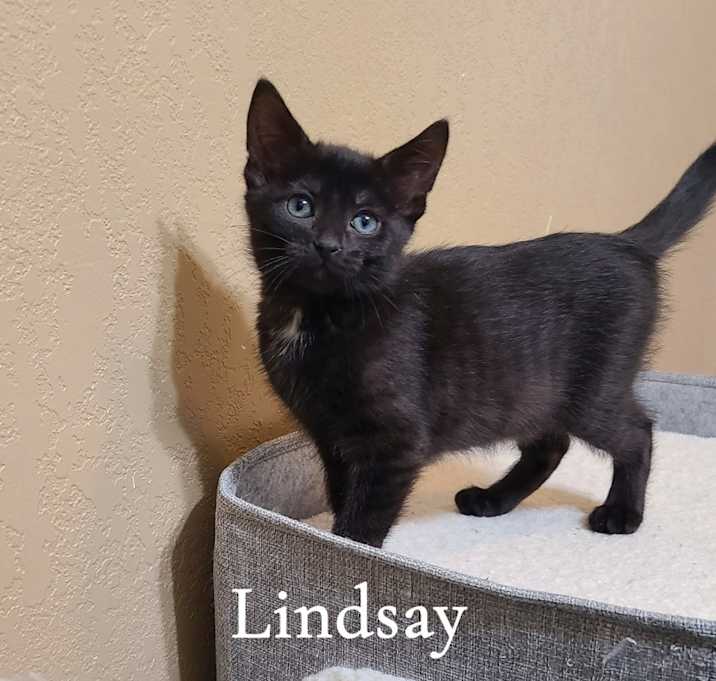 Photo of Lindsay