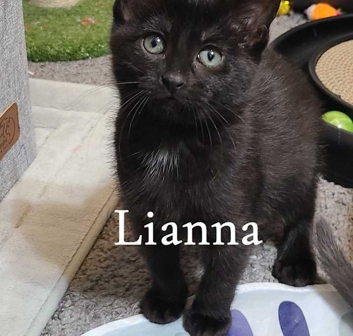 Photo of Lianna