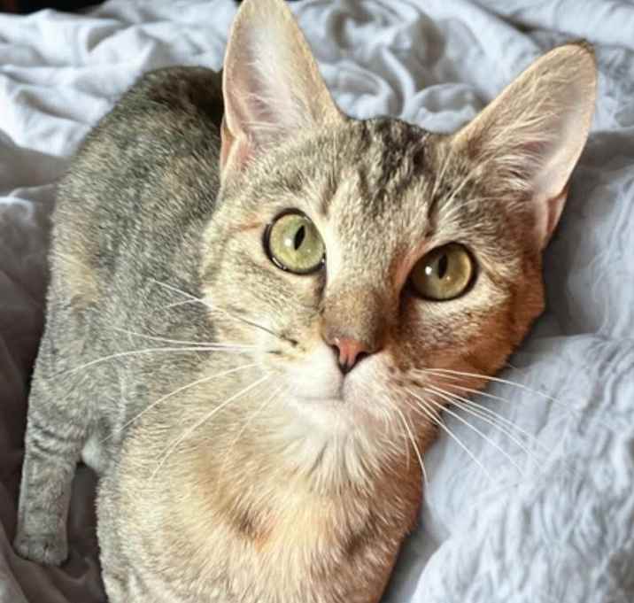Photo of Hope