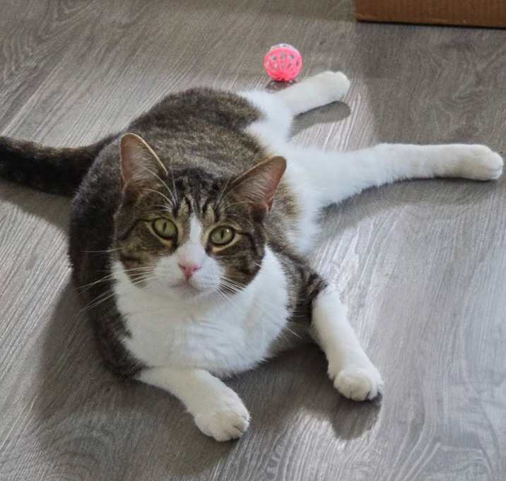 Photo of Mars