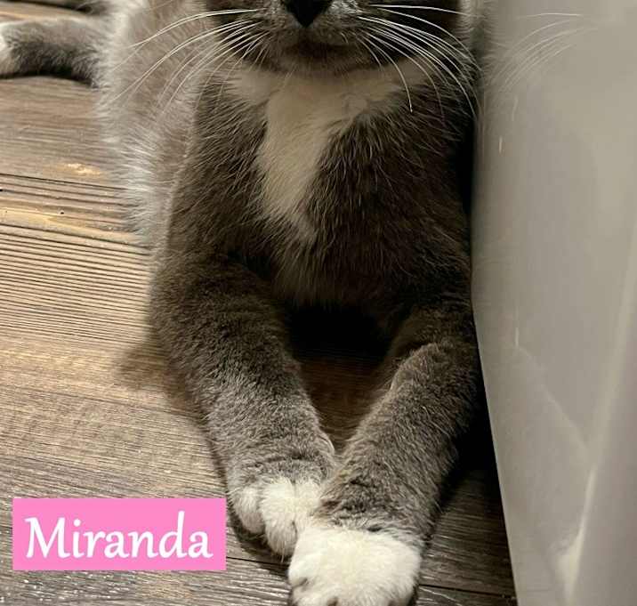 Photo of Miranda