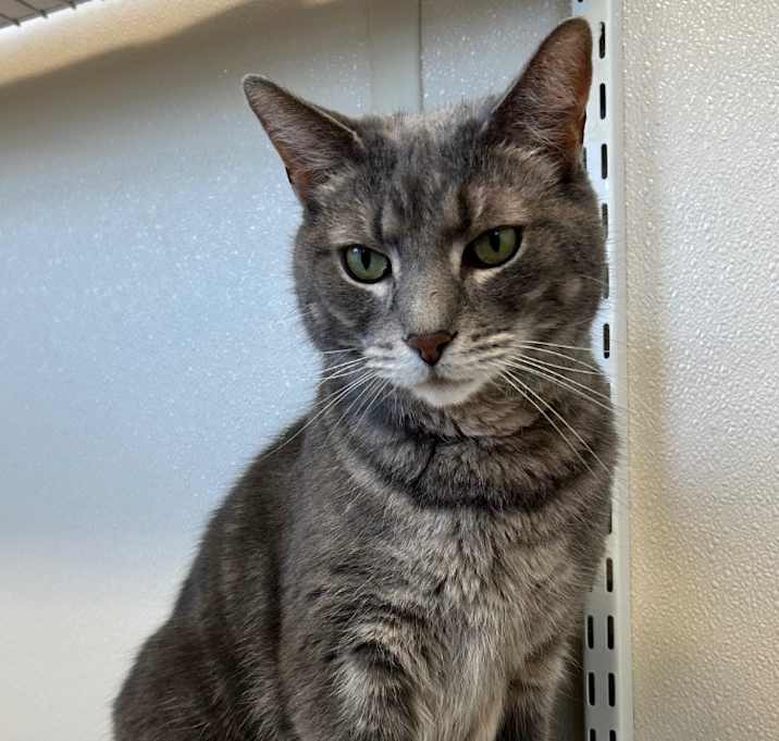 Photo of Charlie