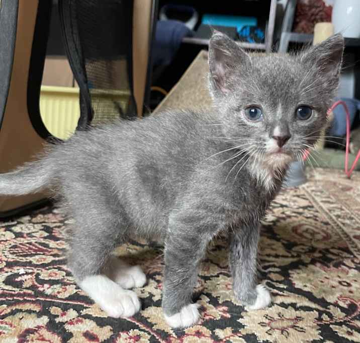 Photo of Wendell